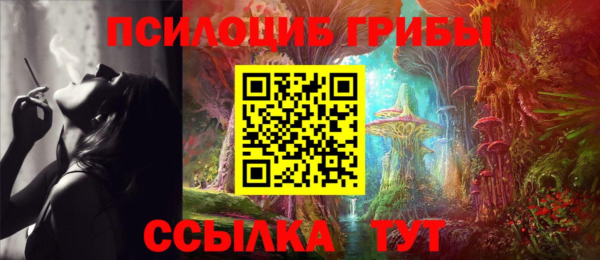 Казань  Галлюциногенные грибы прущие грибы  купить   Вход с VPN 